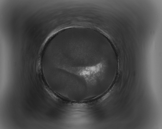 X0000086731498200704131055