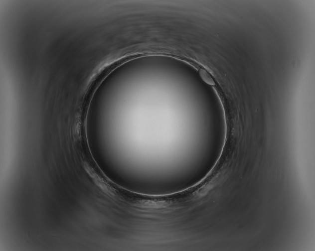 X0000086731499200704131055
