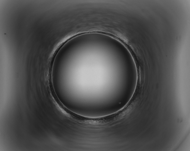 X0000086731500200704131055