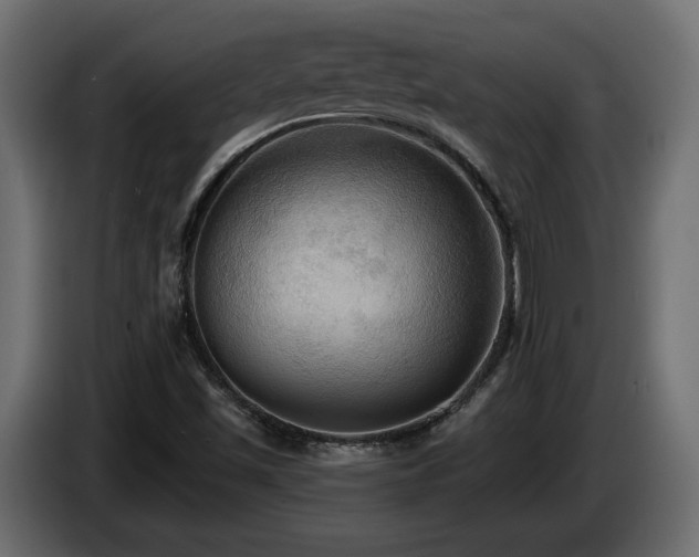 X0000086731501200704131055