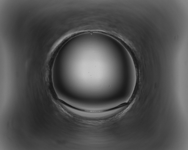 X0000086731502200704131055