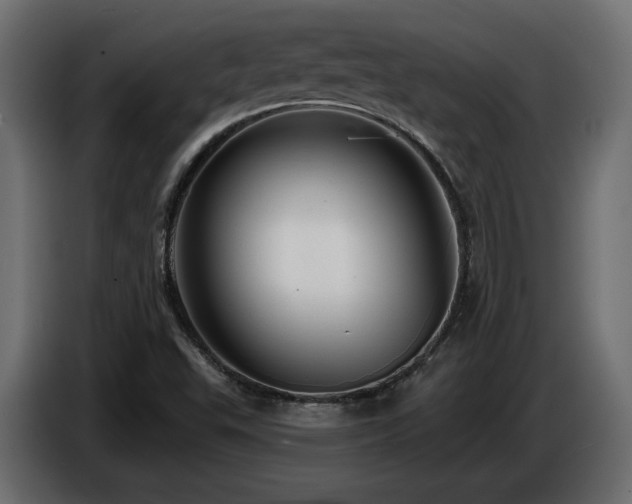 X0000086731503200704131055
