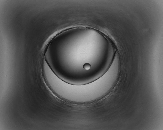 X0000086731504200704131055