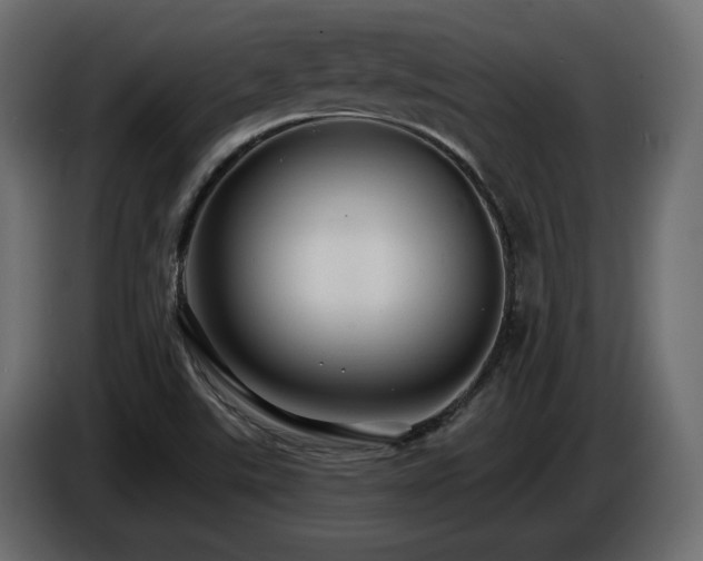 X0000086731507200704131055
