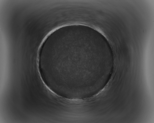 X0000086731508200704131055