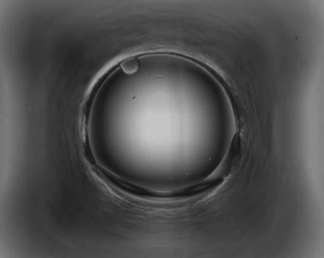 X0000086731510200704131055