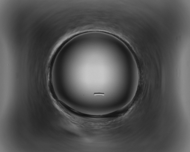 X0000086731511200704131055