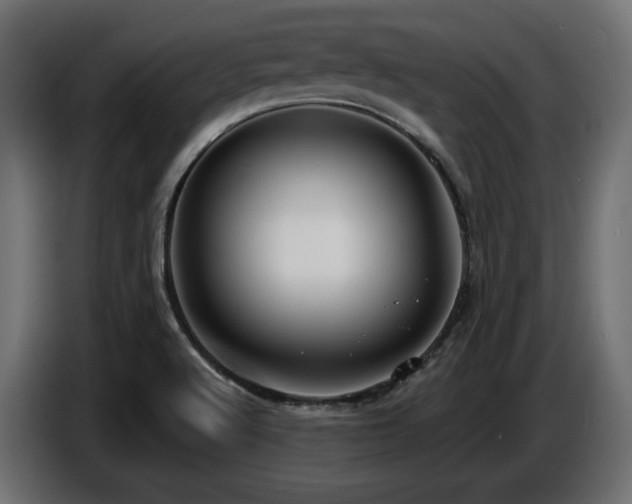 X0000086731512200704131055