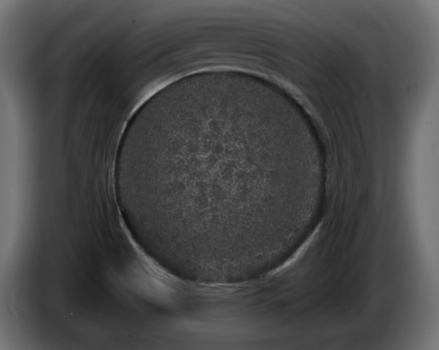 X0000086731513200704131055