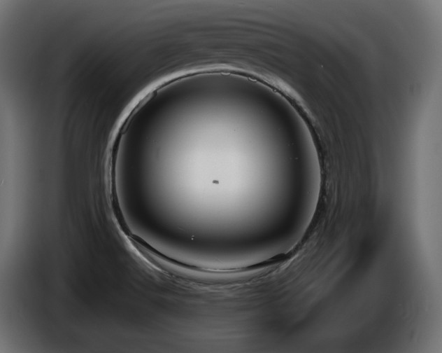 X0000086731516200704131055