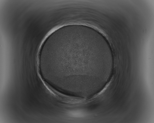 X0000086731517200704131055