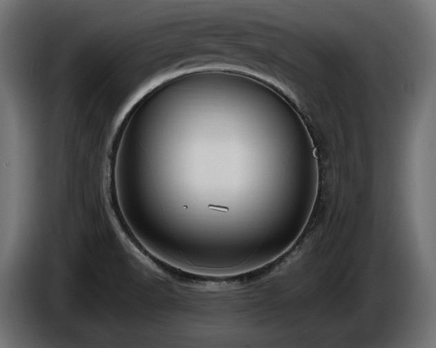 X0000086731518200704131055