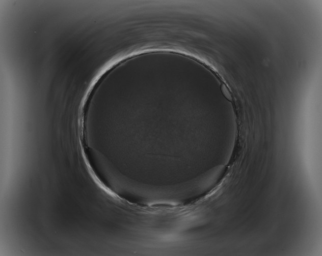 X0000086731519200704131055