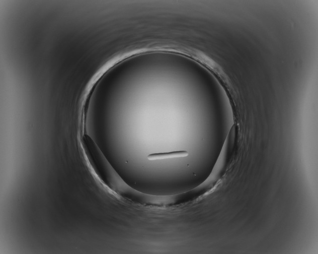 X0000086731520200704131055
