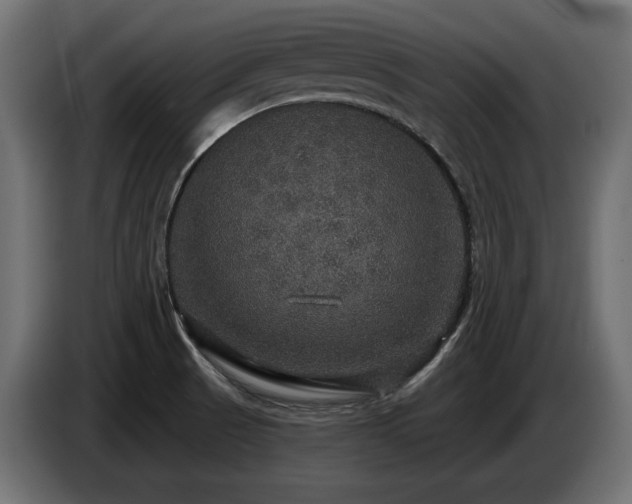 X0000086731521200704131055