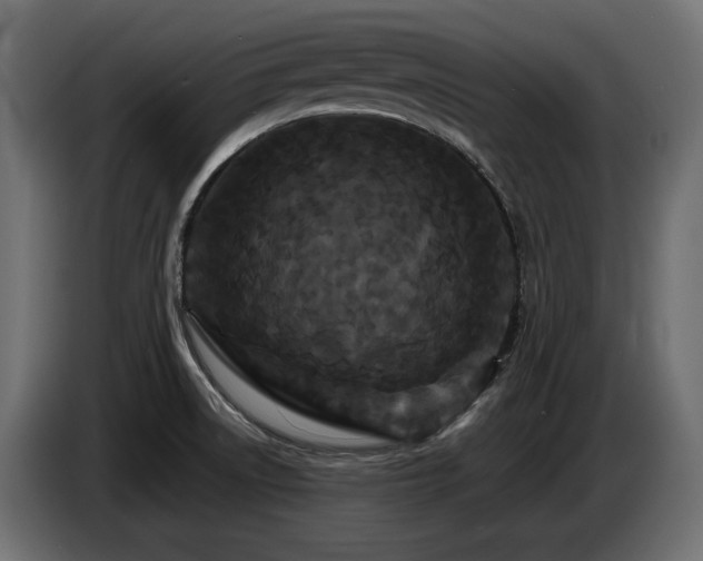 X0000086731522200704131055