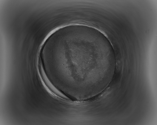 X0000086731523200704131055