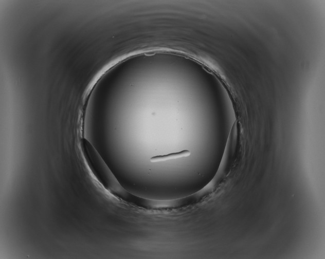 X0000086731524200704131055