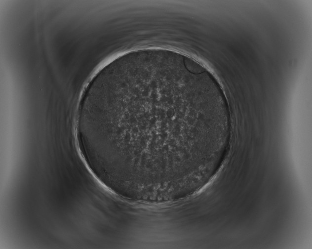 X0000086731525200704131055