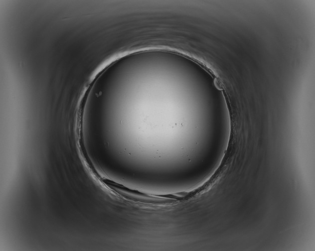 X0000086731526200704131055
