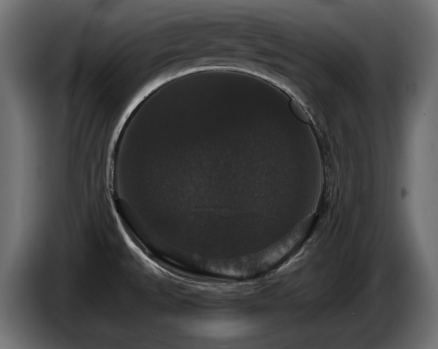 X0000086731527200704131055