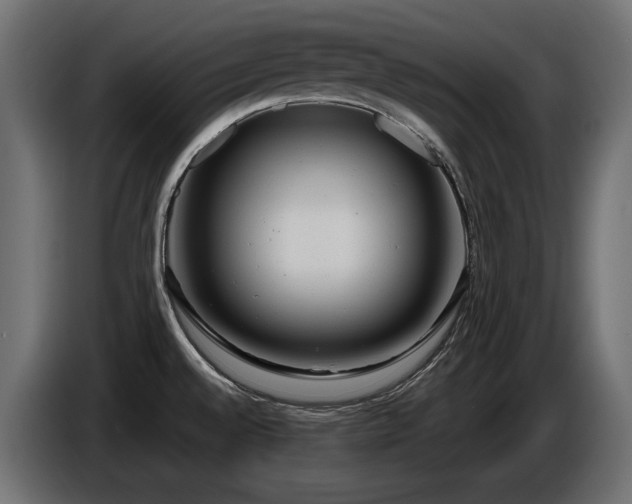 X0000086731528200704131055