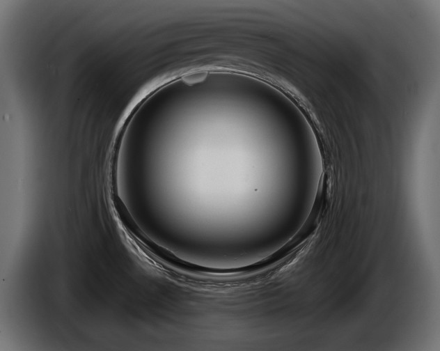 X0000086731530200704131055