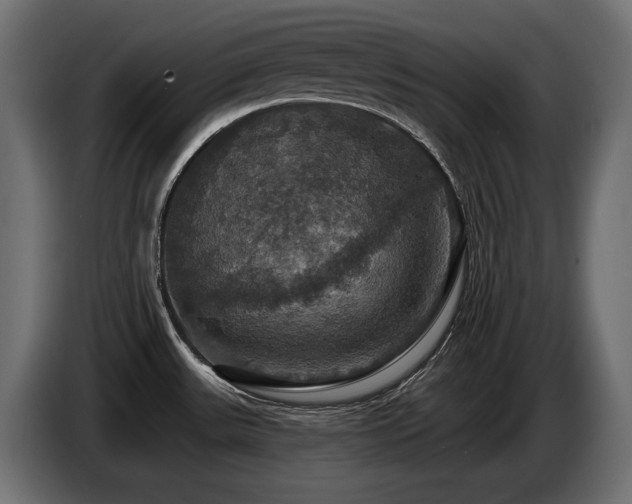X0000086731531200704131055