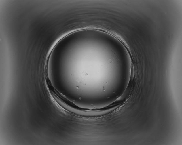 X0000086731532200704131055