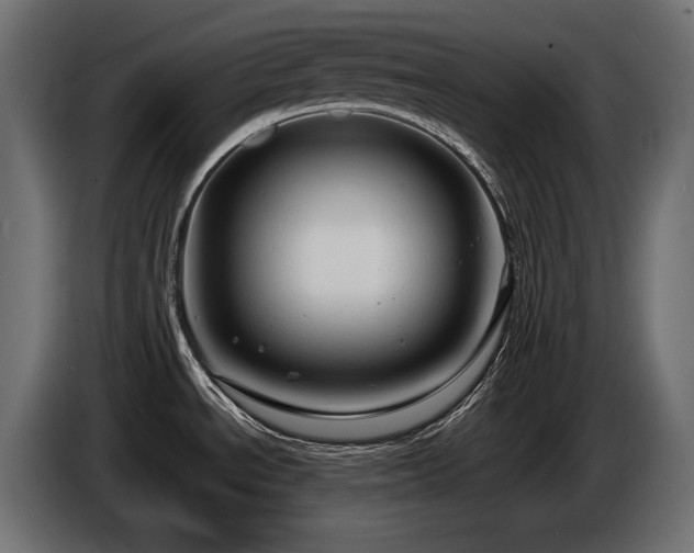 X0000086731534200704131055