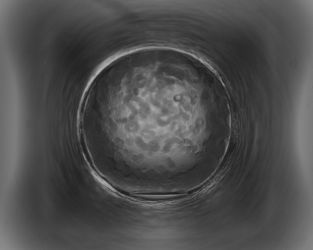 X0000086731535200704131055
