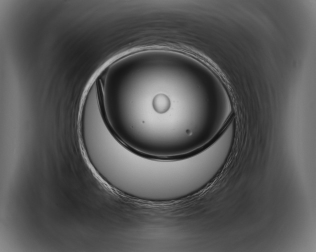 X0000086731536200704131055