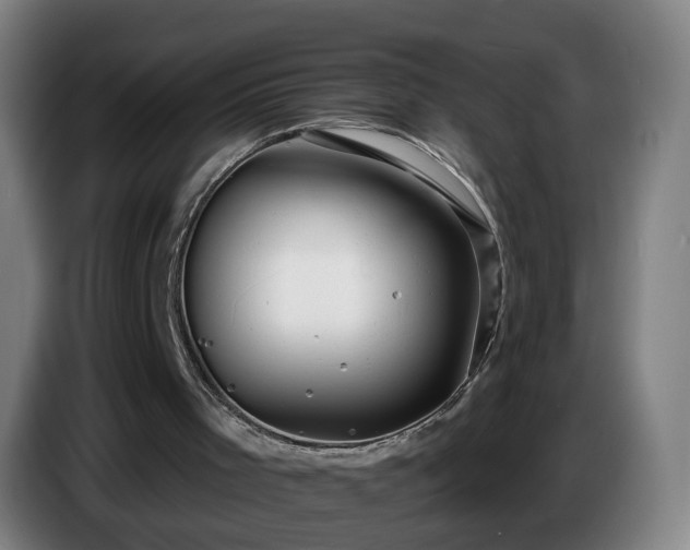 X0000086730001200704201655