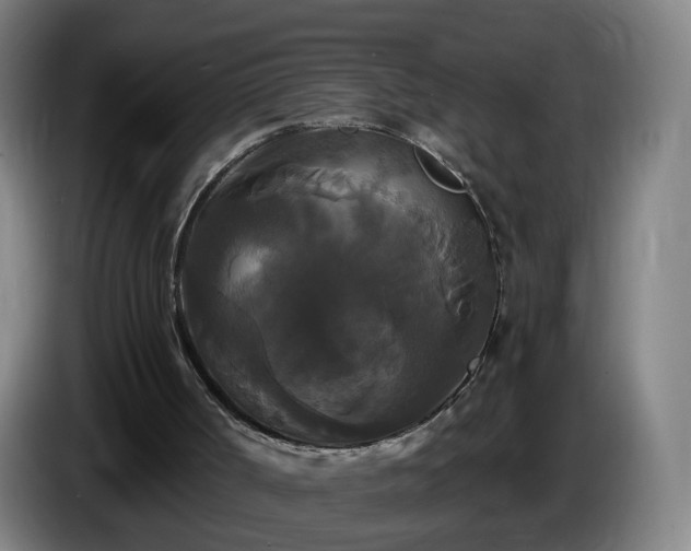 X0000086730002200704201655