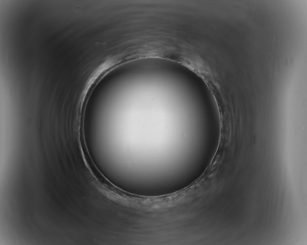 X0000086730003200704201655