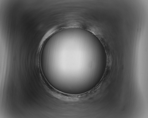 X0000086730004200704201655