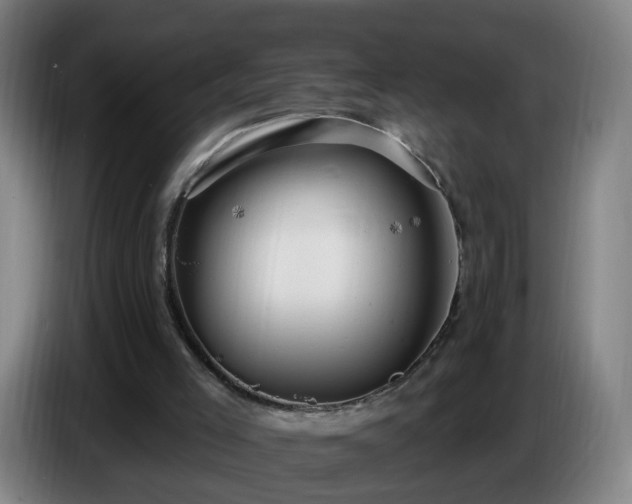 X0000086730005200704201655