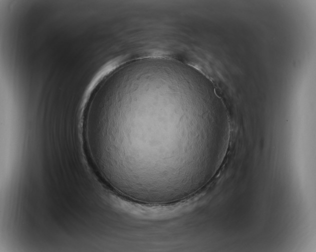 X0000086730006200704201655