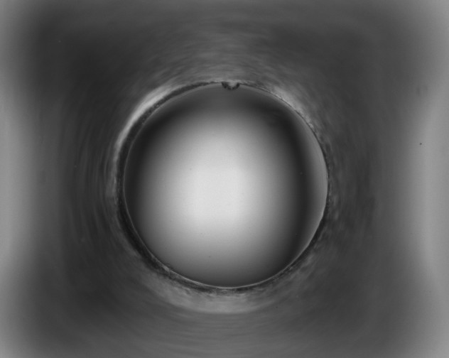 X0000086730008200704201655