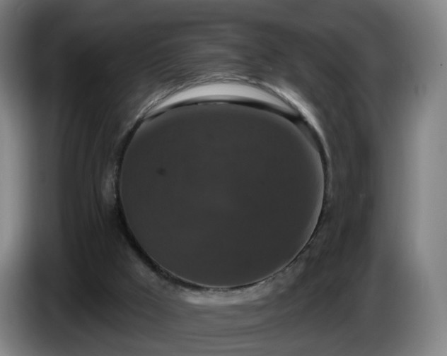 X0000086730009200704201655