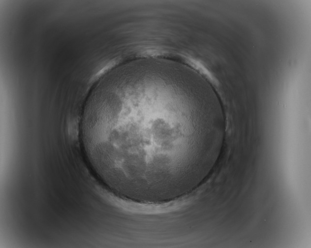 X0000086730010200704201655