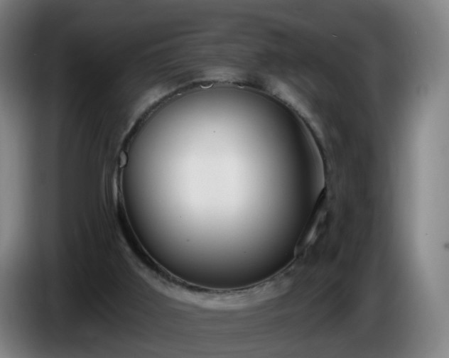 X0000086730011200704201655