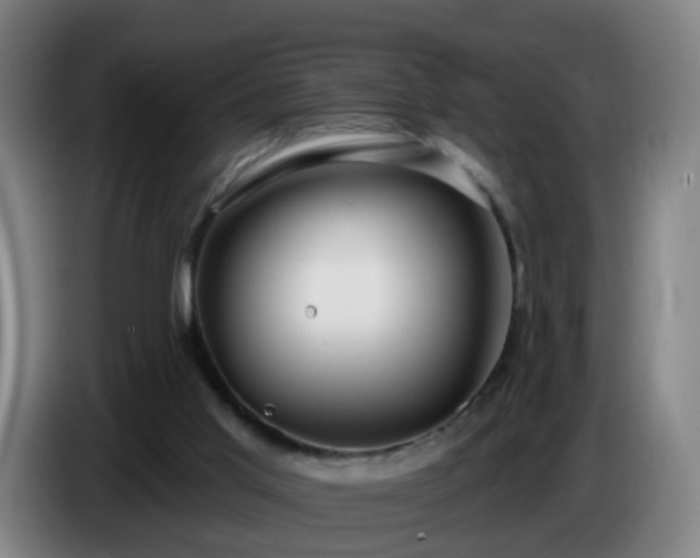 X0000086730013200704201655