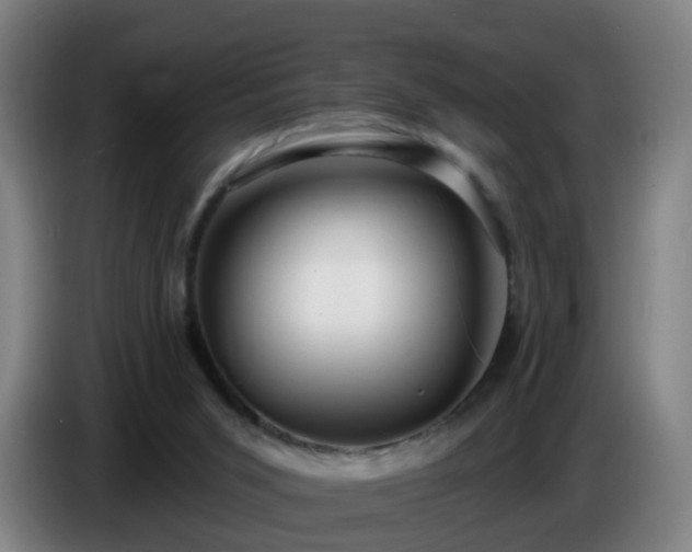 X0000086730015200704201655