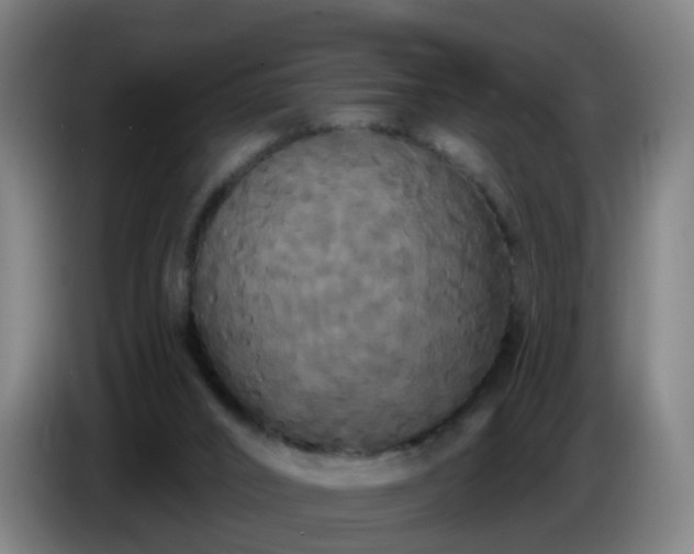 X0000086730016200704201655