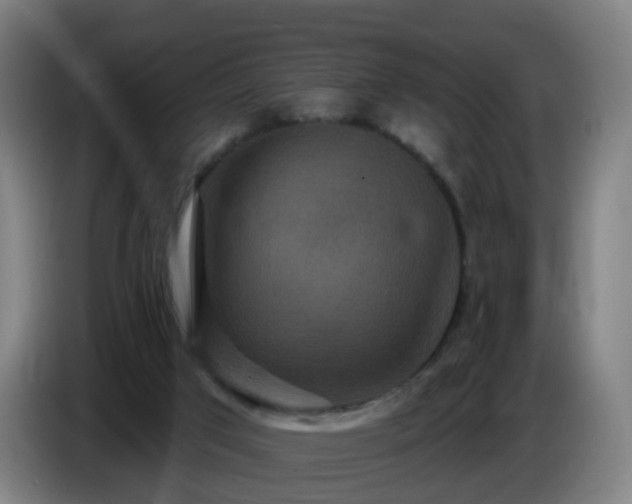 X0000086730017200704201655