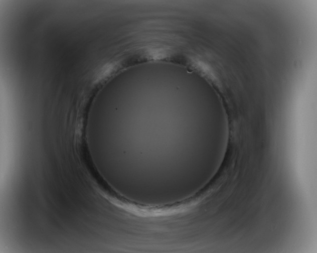 X0000086730018200704201655