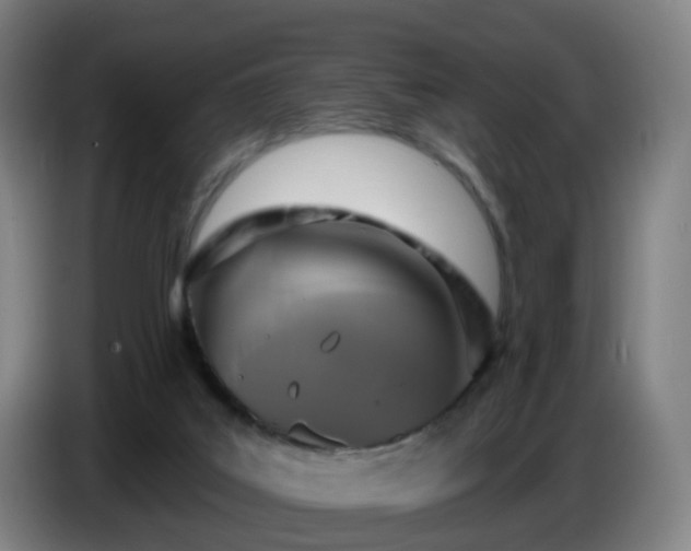 X0000086730019200704201655