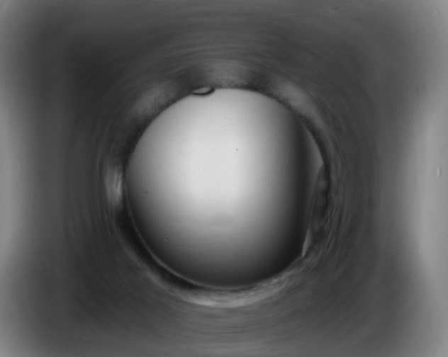 X0000086730021200704201655