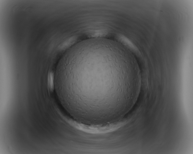 X0000086730022200704201655